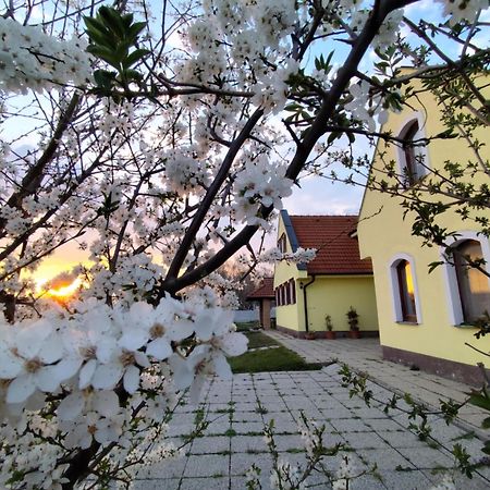 Idylicky Rodinny Penzion Arkadia Pri Dunajskej Cyklotrase Kyselica Dış mekan fotoğraf