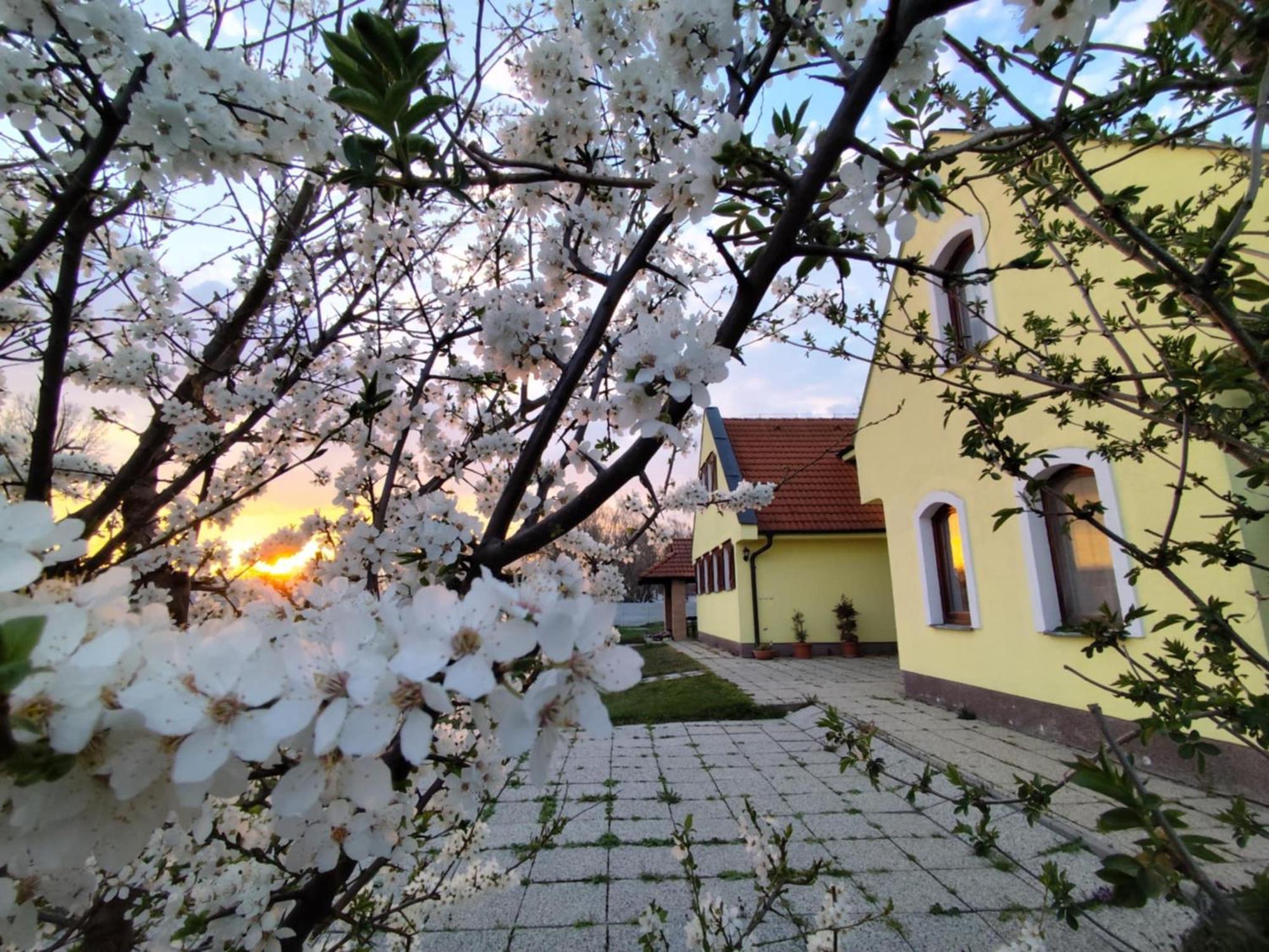 Idylicky Rodinny Penzion Arkadia Pri Dunajskej Cyklotrase Kyselica Dış mekan fotoğraf